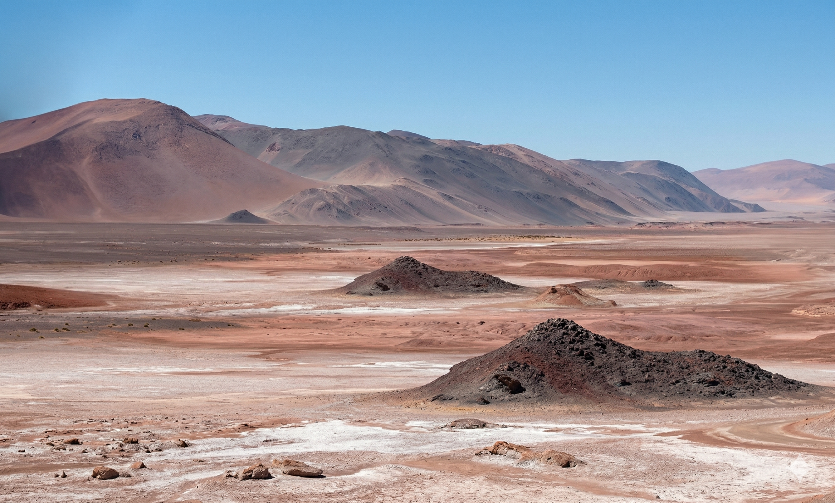Transparencia en la gestión de la industria minera: sin reglas claras no hay desarrollo local