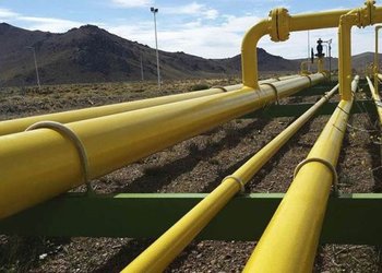 Argentina Avanza en el Mercado de Carbono: Potencial de Ingresos por US$ 4.800 Millones