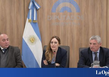 Argentina avanza en la regulación de tierras raras: un paso clave para el sector minero
