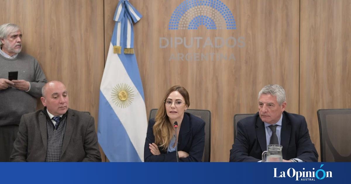 Argentina avanza en la regulación de tierras raras: un paso clave para el sector minero