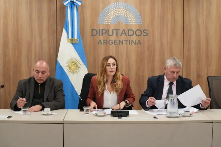 Argentina avanza hacia la regulación de tierras raras: potencial y desafíos
