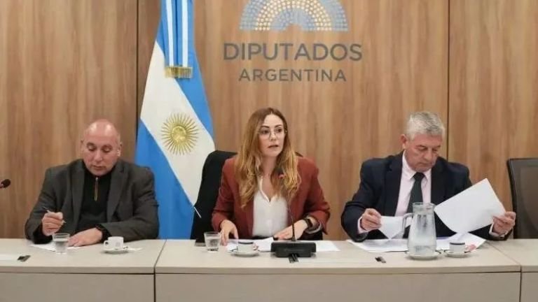 Argentina busca reformar su Código de Minería para impulsar tierras raras