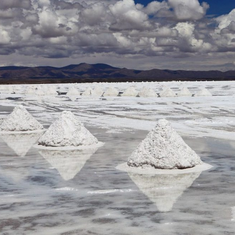 Argentina en el Foco: Inversiones Estadounidenses Impulsan la Minería de Cobre y Litio
