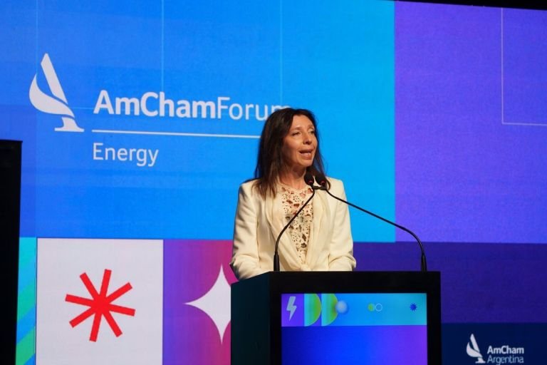 Argentina en el Umbral de una Revolución Energética: Desafíos y Oportunidades