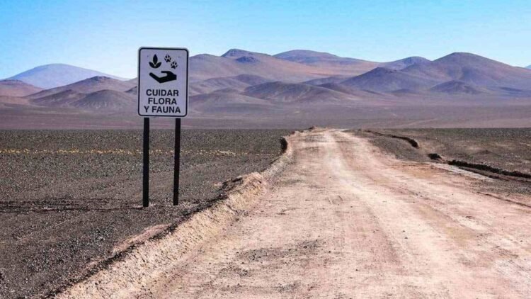 Argentina Impulsa la Minería con Cambios Regulatorios y Privatización del Transporte Ferroviario