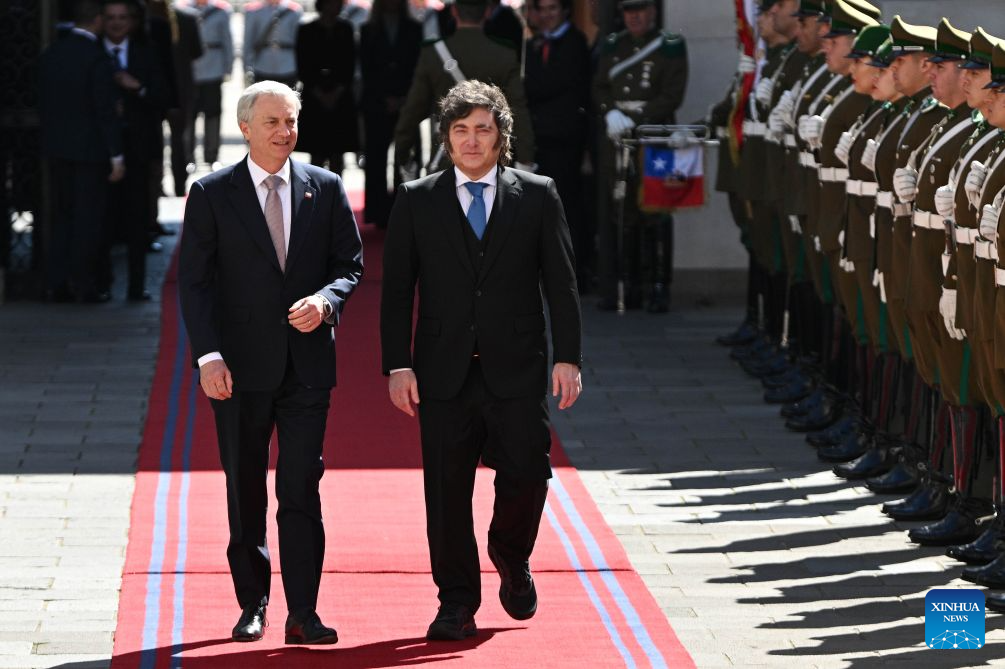 Argentina y Chile profundizan lazos energéticos y mineros en reunión bilateral