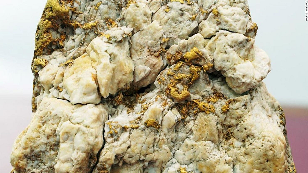 Periodista reportando noticias