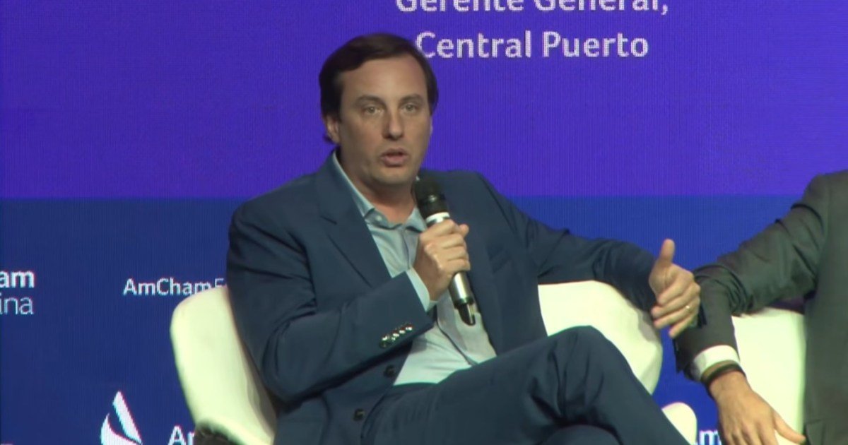Central Puerto insta a mantener el rumbo en la reforma del mercado eléctrico