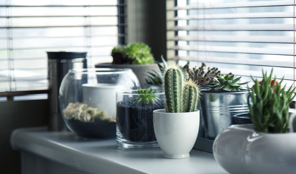 Cómo potenciar la energía vital en el hogar durante el invierno según el Feng Shui