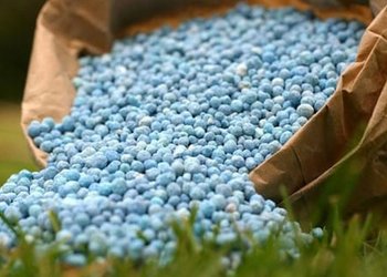 Conflicto en Medio Oriente: Impacto Global en Energía, Fertilizantes y Alimentos