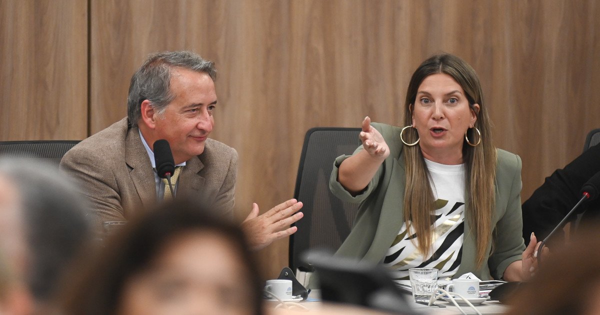 Debate en el Congreso sobre la reforma de la ley de DNU genera tensiones políticas