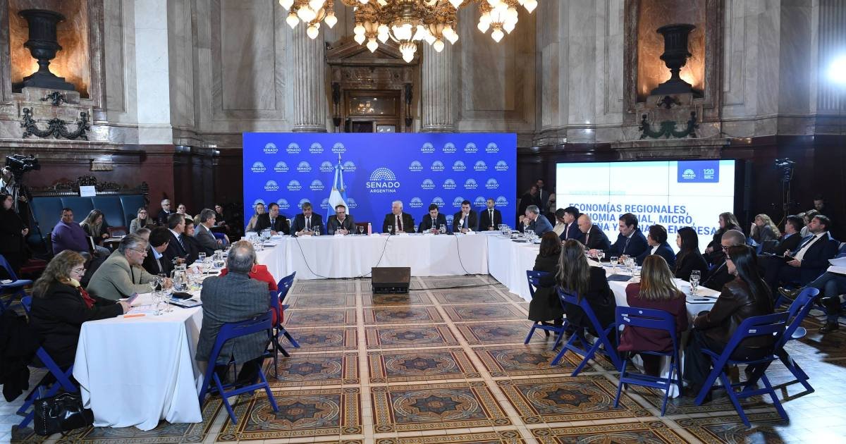 Debate en el Senado: el futuro del 'Súper RIGI' para la energía y minería