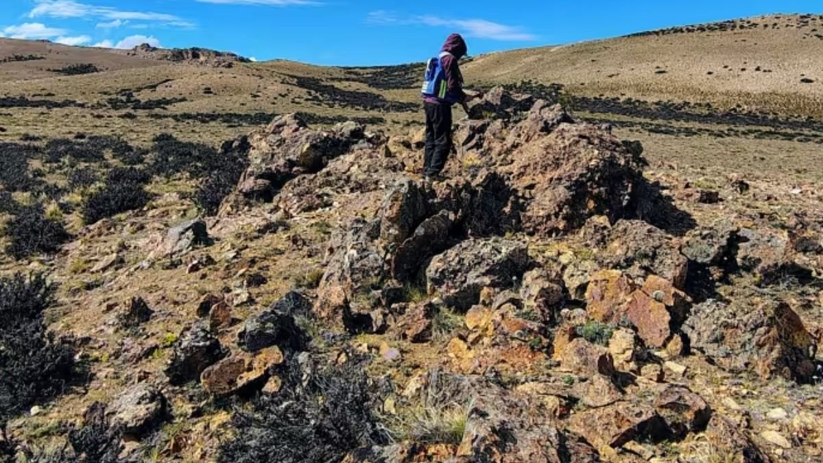 Descubren Ríos Fosilizados y Aumenta la Exploración Minera en Chubut y Santa Cruz