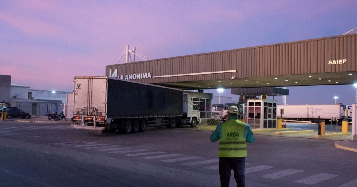 Detención del Hijo de Candidata a Senadora por Robo Millonario en Neuquén