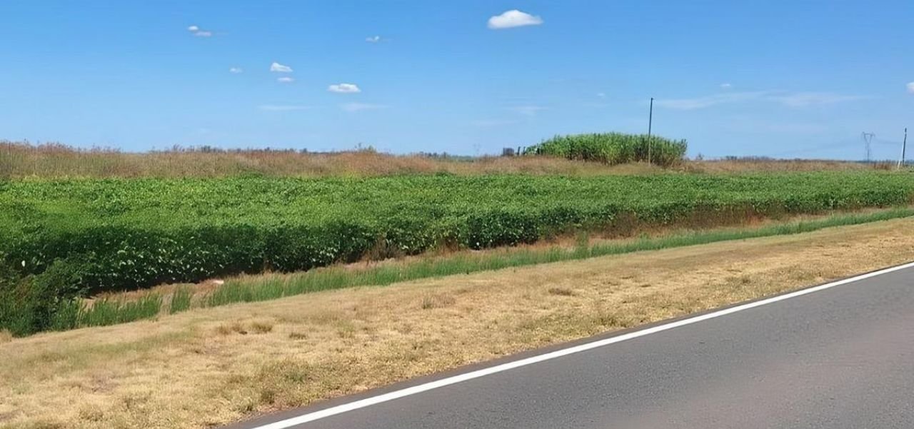 El debate ambiental en Argentina: la encrucijada entre producción y sostenibilidad