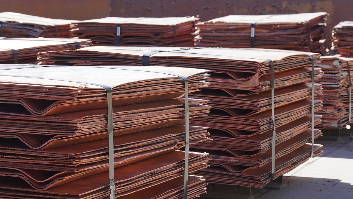 Periodista reportando noticias