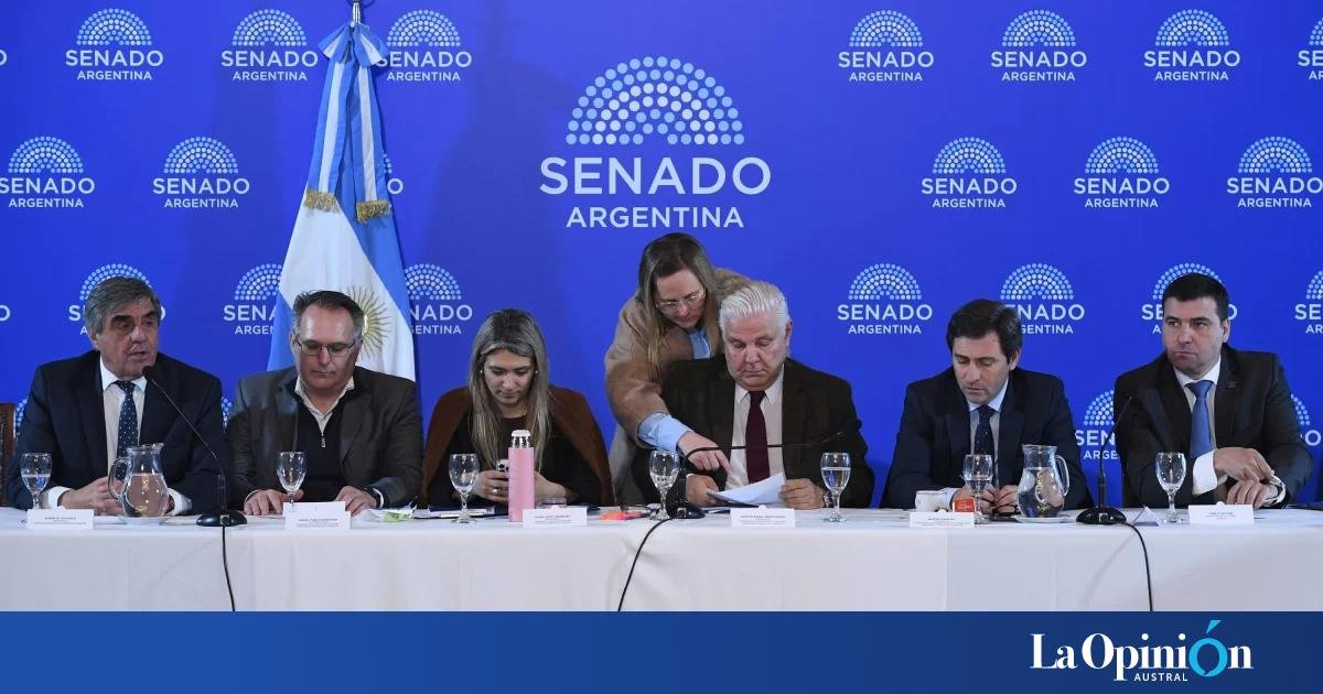 El Súper RIGI: Impulso Vital para la Minería Argentina