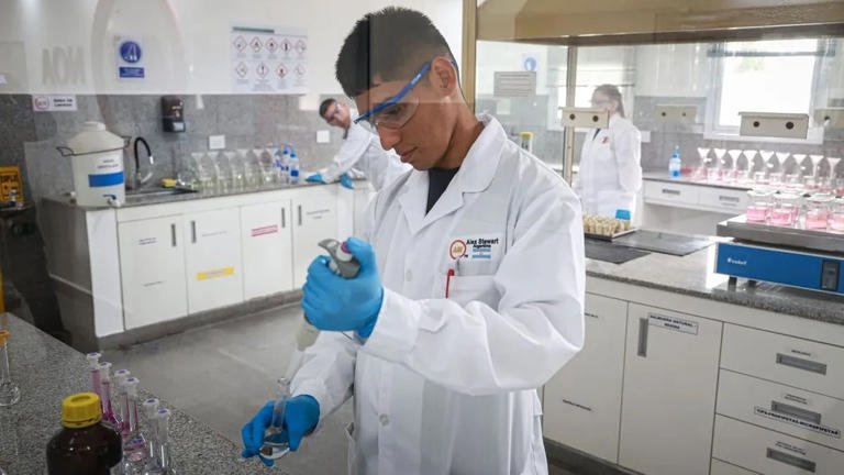 Expansión minera en Argentina: desafíos en la búsqueda de talento especializado