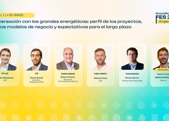 FES Argentina: Transformación del Mercado Eléctrico y Nuevos Proyectos en el Horizonte