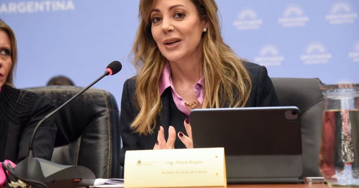 Flavia Royón lidera la Comisión de Minería, Energía y Combustibles en el Senado