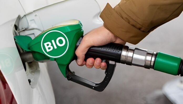 Gobierno argentino reduce precio del biodiésel para contrarrestar alza del petróleo