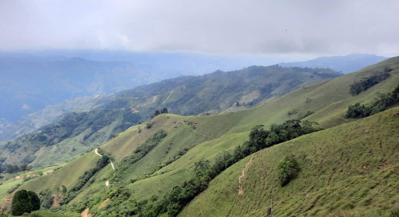 GoldMining Inc. impulsa exploración en Colombia en medio de precios récord del oro