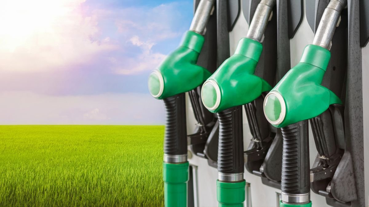 Impacto del Nuevo Marco Regulatorio de la UE en el Biodiésel Argentino