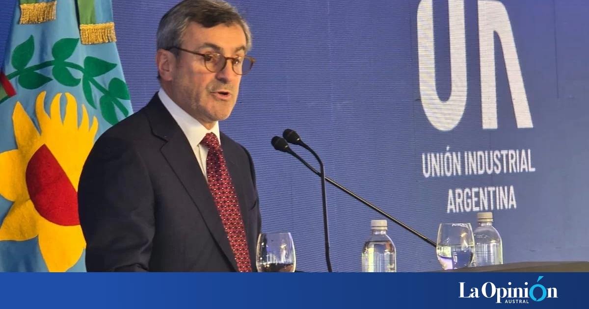 Industria Argentina en Crisis: Una Transformación Necesaria y Urgente