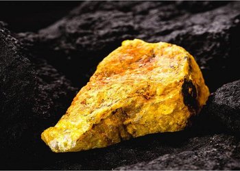 Jaguar Uranium: Un Debut Volátil en Wall Street que Refleja el Interés por el Uranio en Sudamérica