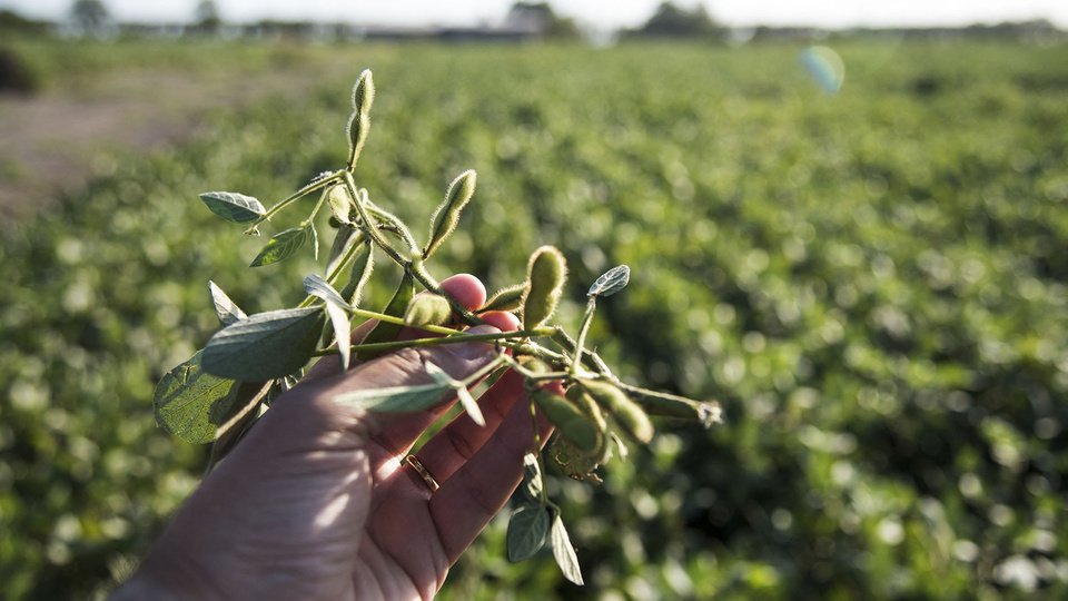 La Federación Agraria Argentina celebra la baja de retenciones como impulso a la inversión