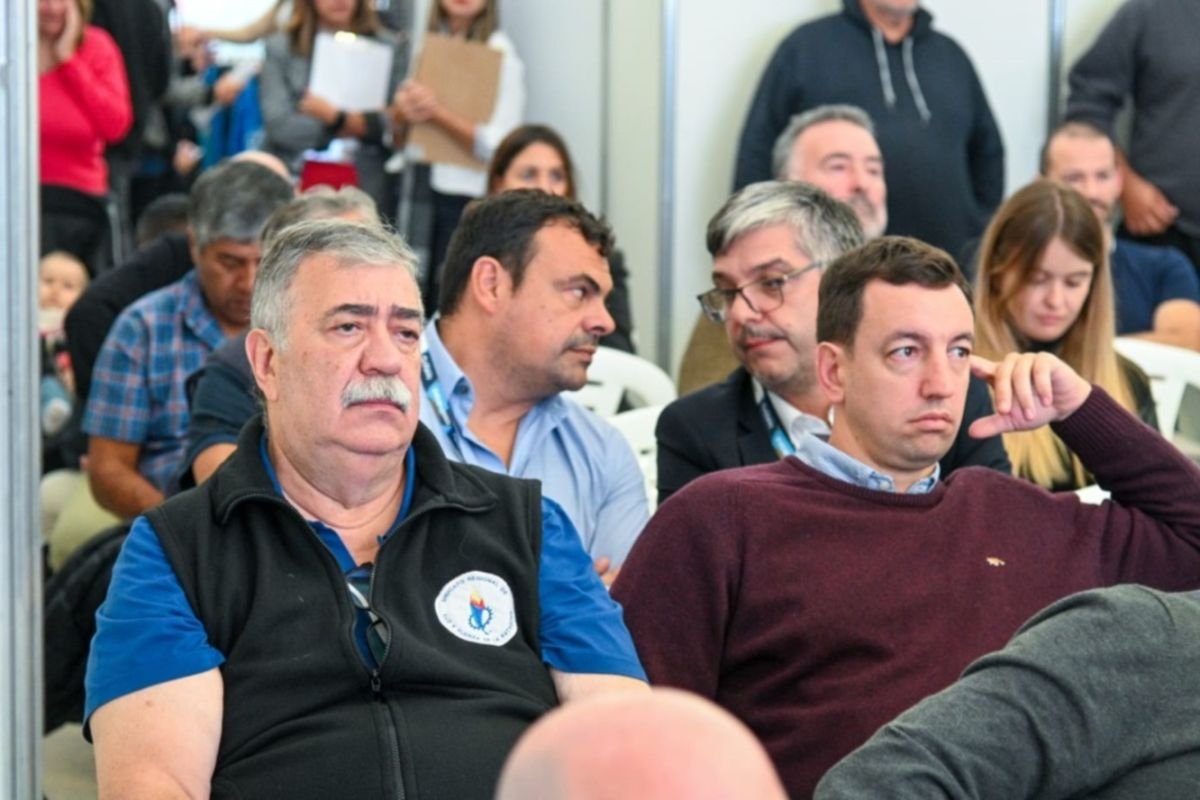 La Patagonia se posiciona como clave en la transición energética de Argentina