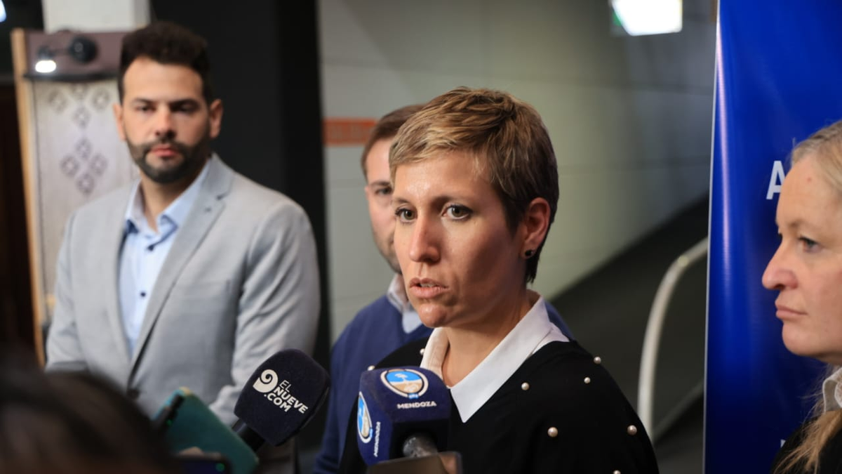 Mendoza y San Juan defienden adecuación de la Ley de Glaciares en debate parlamentario