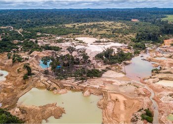 Minería ilegal en Colombia: millonario desafío que alerta a Argentina y la región