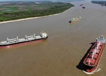 Modernización de la ley de cabotaje: un impulso necesario para la forestoindustria argentina