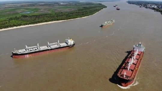 Modernización de la ley de cabotaje: un impulso necesario para la forestoindustria argentina