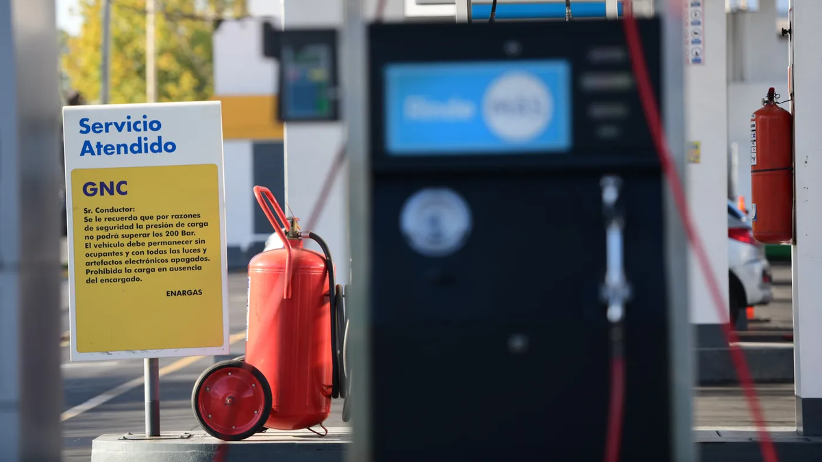 Periodista reportando noticias