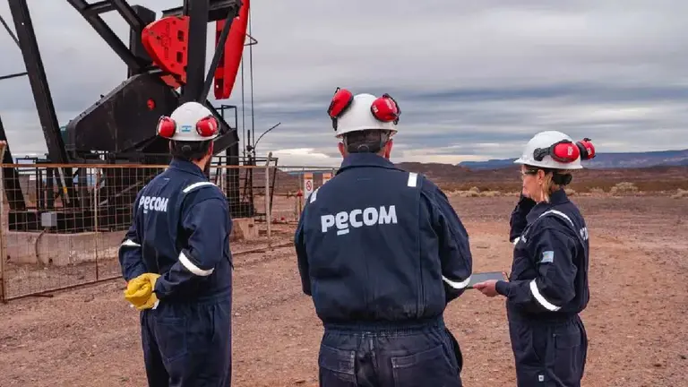 Pecom asume la operación del yacimiento Manantiales Behr en Chubut