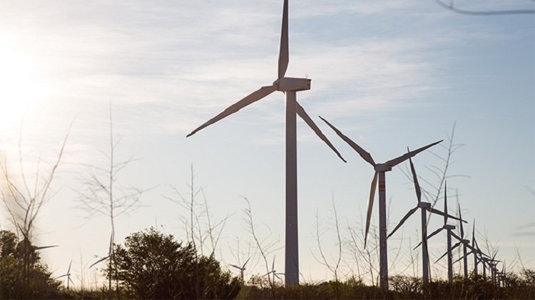 Perú: Potencial Eólico de 20493 MW Impulsa Inversiones en Energías Renovables