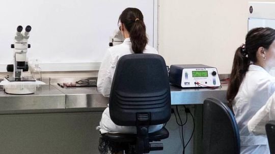 Presupuesto 2027: Ciencia y Tecnología en la Cuerda Floja según el Club Político Argentino
