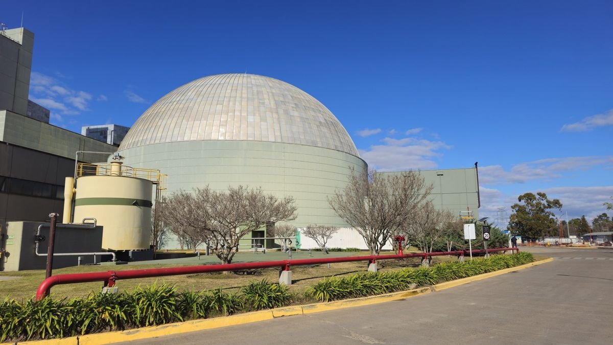 Privatización de la Energía Nuclear en Argentina: Un Debate Estratégico y Controversial