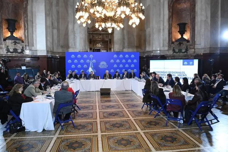 RIGI: Impulso Clave para la Minería Argentina con Inversiones Récord