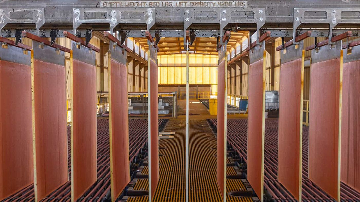 Periodista reportando noticias