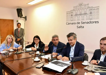 Salta acelera su crecimiento minero: 31 proyectos de litio en 100 días