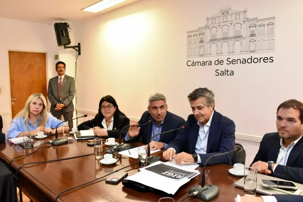 Salta acelera su crecimiento minero: 31 proyectos de litio en 100 días