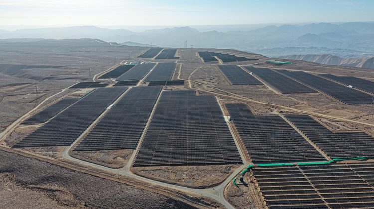 Periodista reportando noticias