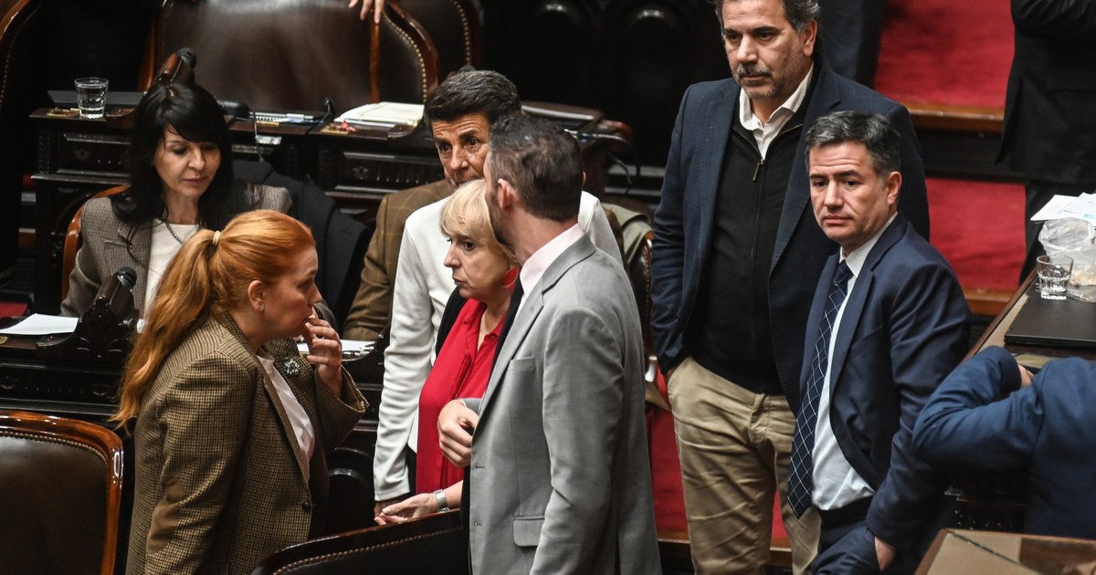 Tensión entre el Gobierno y la oposición por la ley de emergencia en discapacidad