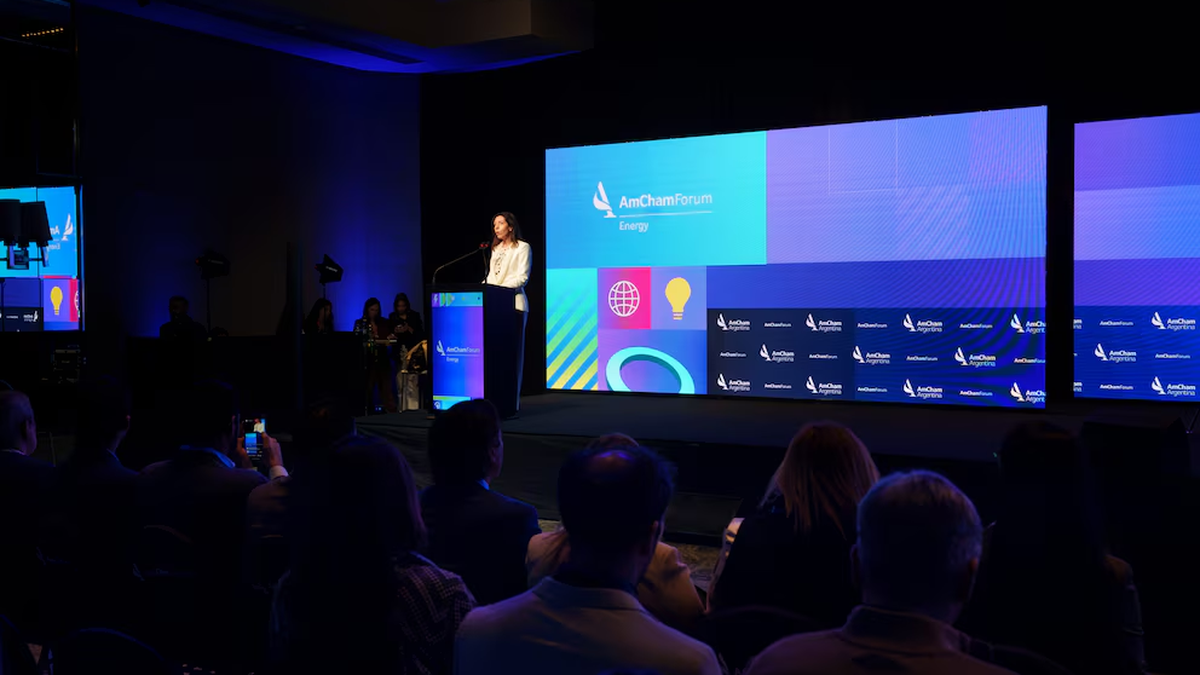 Transformación Energética: Argentina Avanza Hacia un Mercado Más Liberalizado