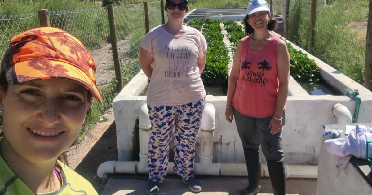 Transformando Residuos en Recursos: Innovador Proyecto Energético en San Martín de los Andes