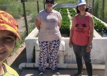 Transformando Residuos en Recursos: Innovador Proyecto Energético en San Martín de los Andes