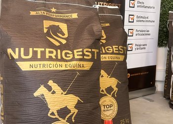 Lanzamiento: Llega Nutrigest, una nueva marca de alimentos para caballos de alto rendimiento